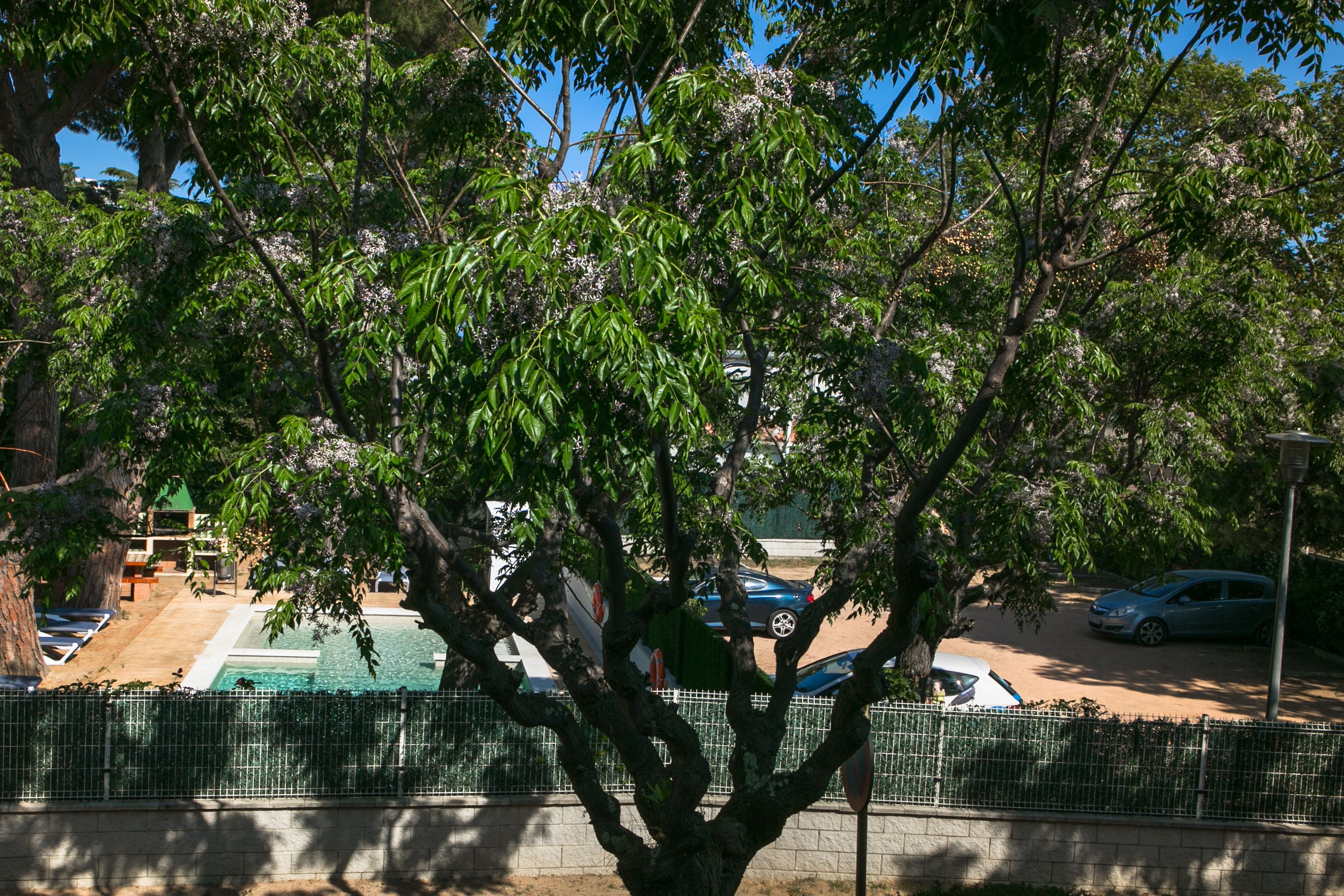 Un área con árboles, una piscina, un estacionamiento cercado y un edificio al fondo.