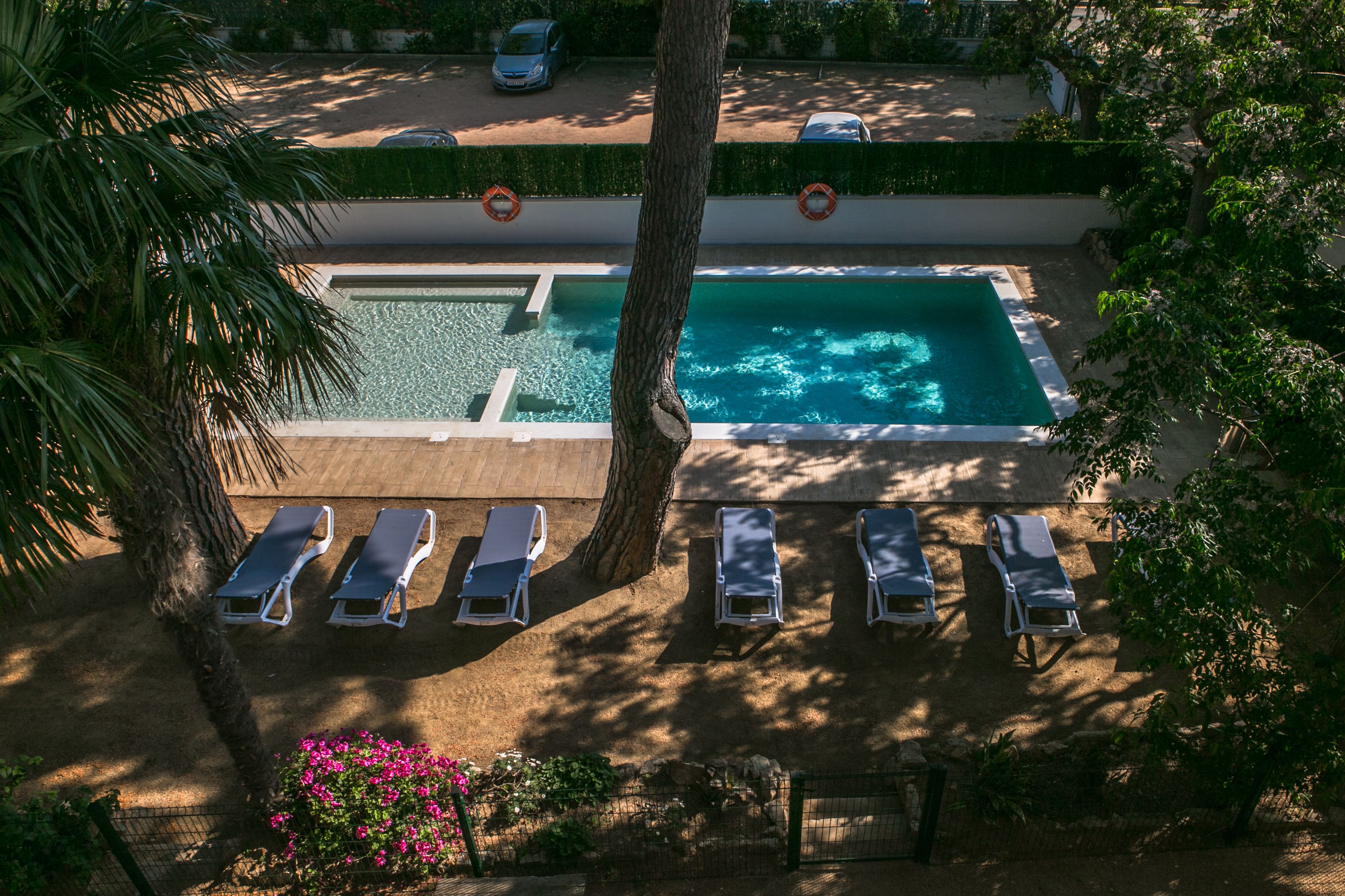 Una piscina con lettini e una palma.