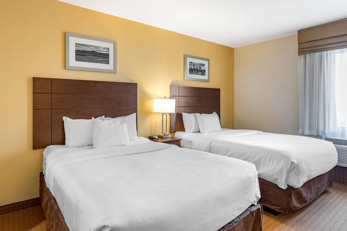 A hotel room with two beds, a nightstand, a lamp, and two framed pictures on the wall.