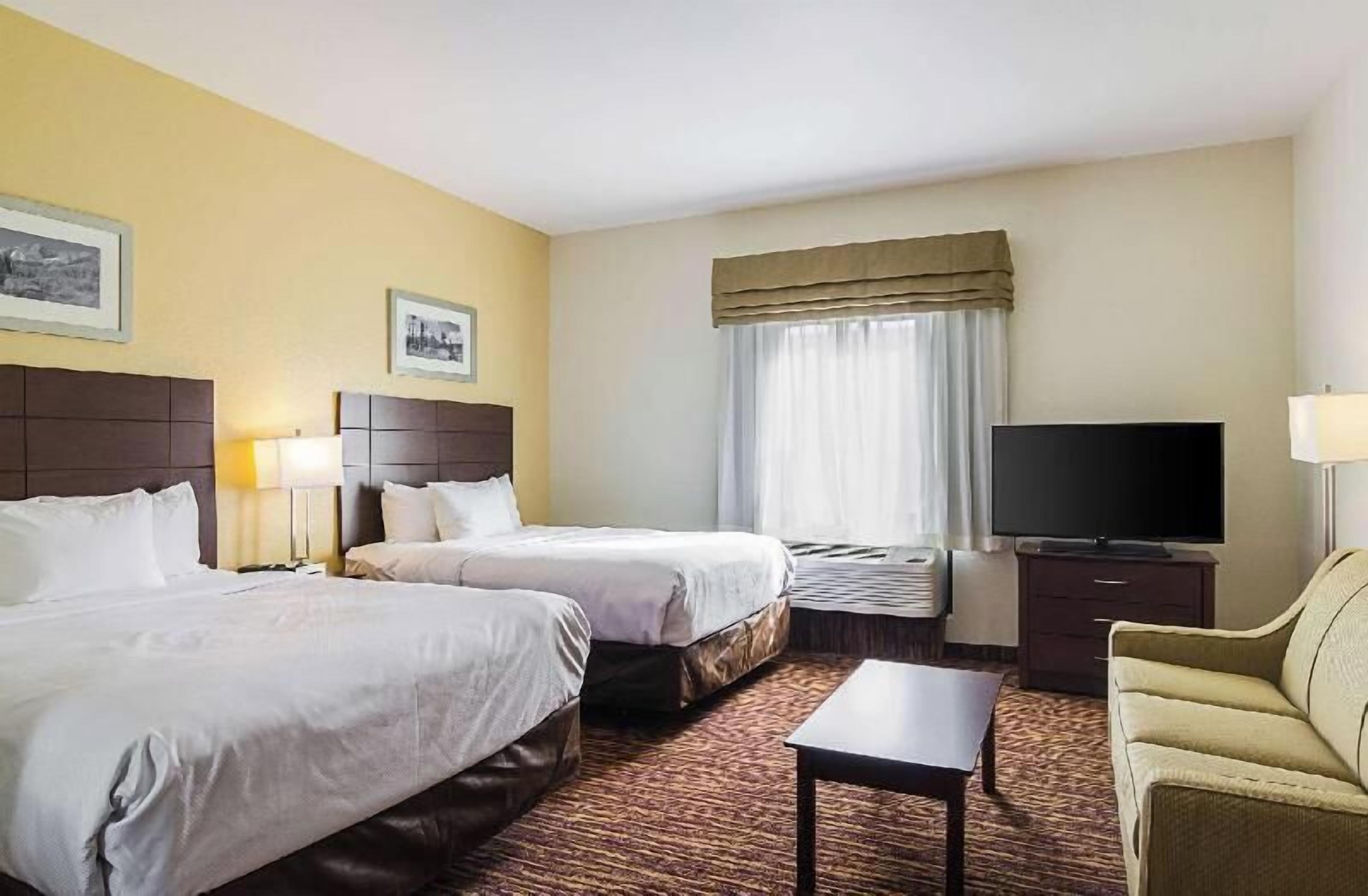 Cortinas blackout, ferros/tábuas de passar roupa, Wi-Fi de cortesia