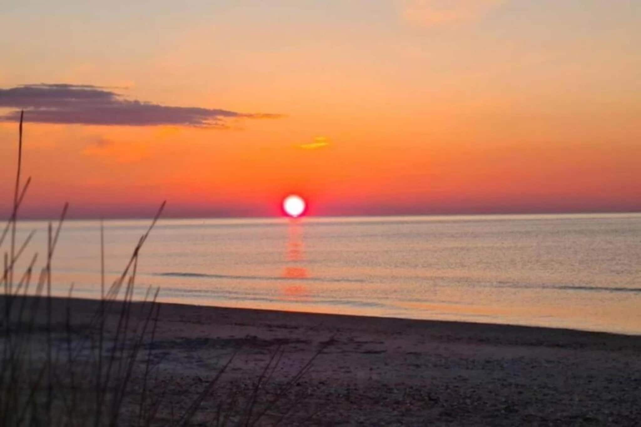 A sunset over a beach with calm water and silhouettes of grass in the foreground.