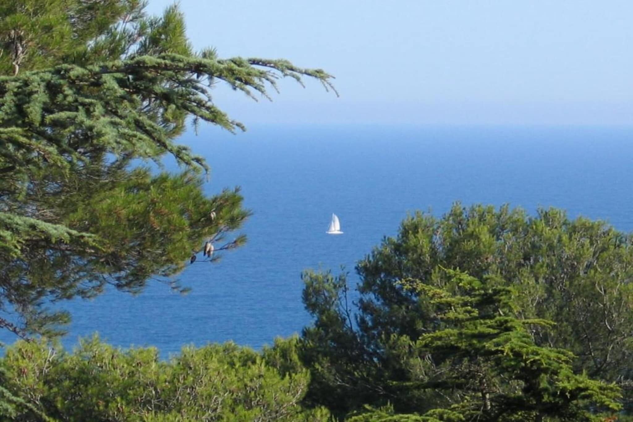 A coastal landscape with a sailboat on the water, surrounded by dense green foliage.