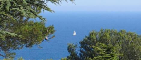 A coastal landscape with a sailboat on the water, surrounded by dense green foliage.