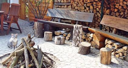 Ferienhaus in Blankenburg