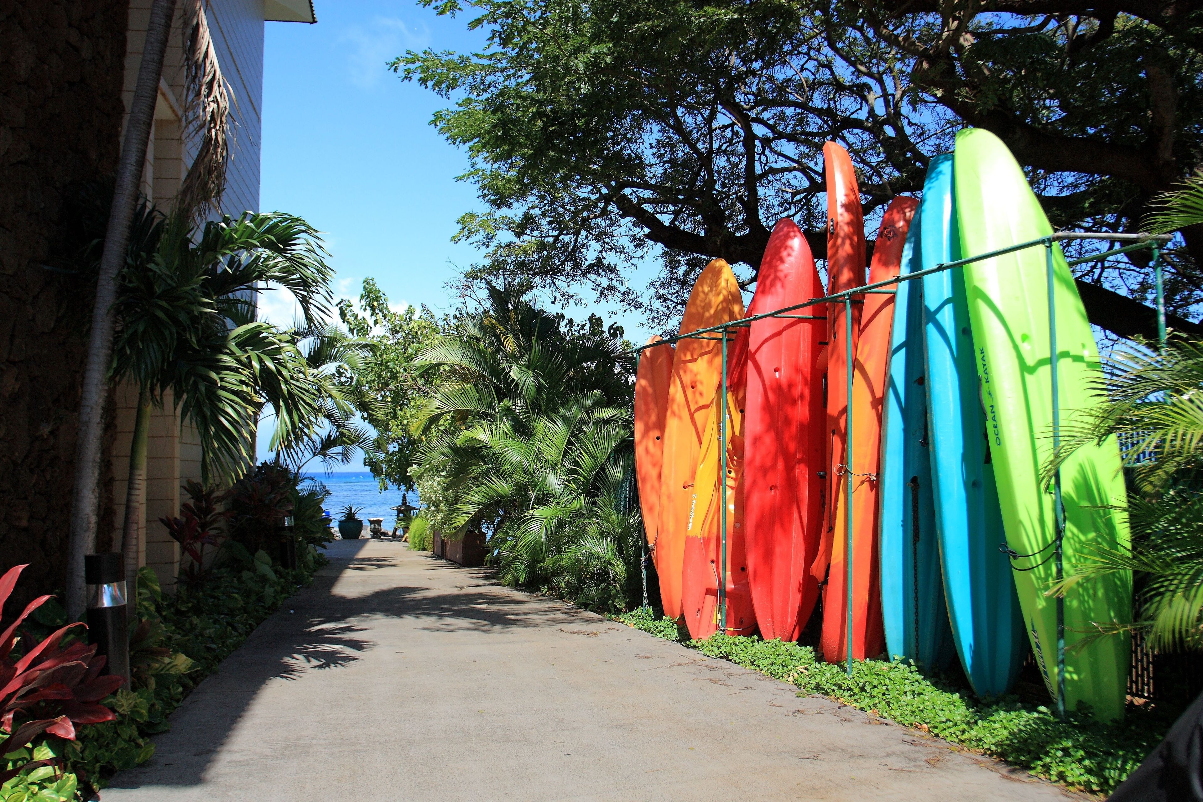 Un sentier bordé de kayaks aux couleurs vives, de palmiers et d’un bâtiment situé sur la gauche.