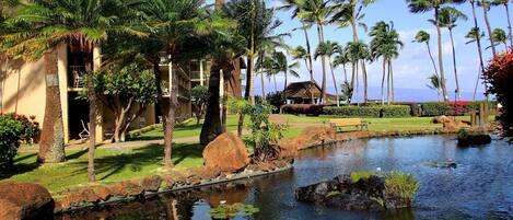 Condo, 1 chambre | Terrain de lâhĂ©bergement