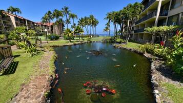 Lägenhet - 2 sovrum | Boendeområde