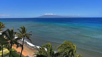 Condo, 1 Bedroom | Beach | On the beach