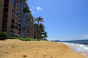 Appart'hôtel, 1 chambre | Plage