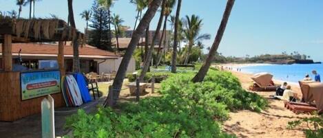 Studio | Property grounds