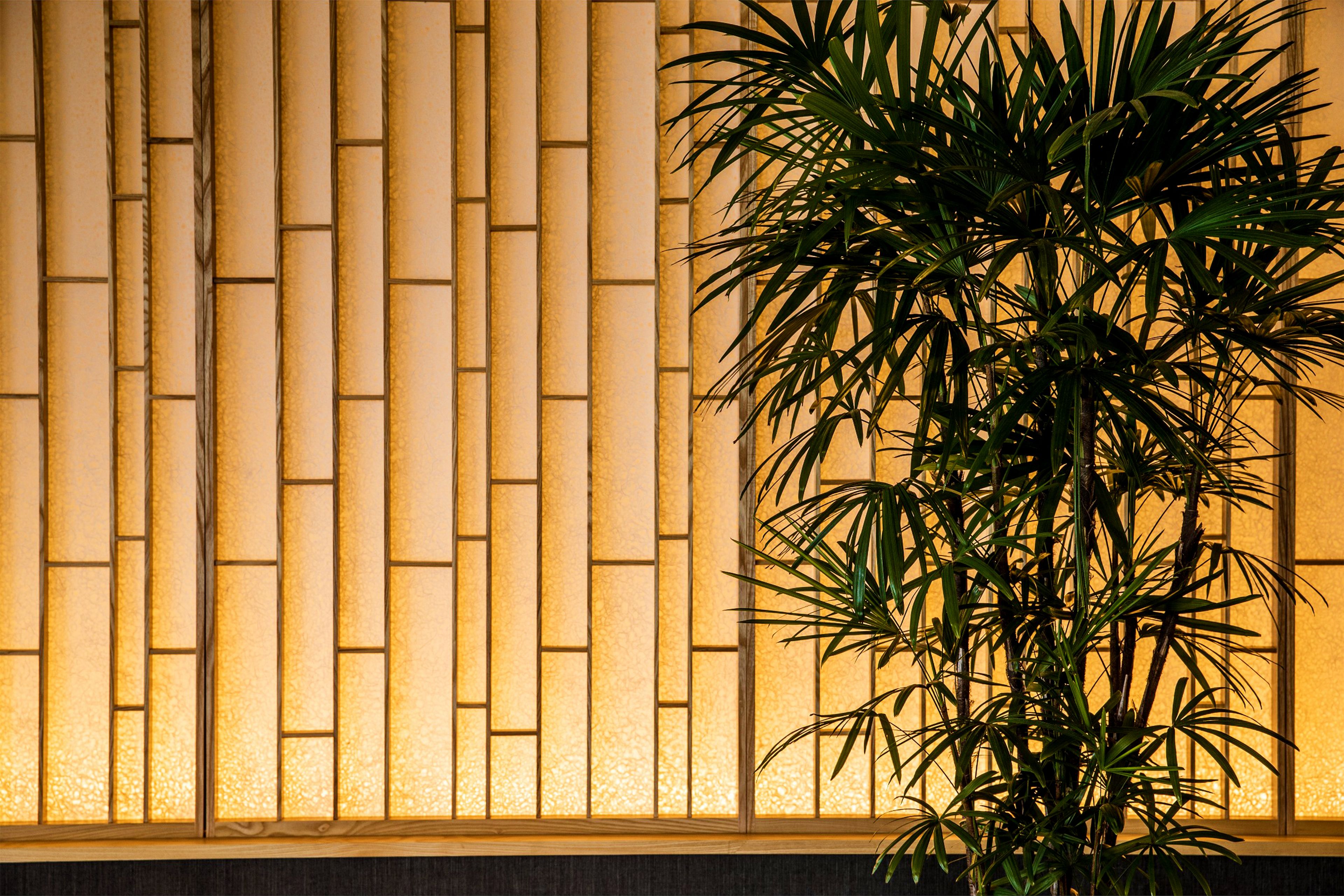 A room with a wooden slat wall and a potted plant in the foreground.