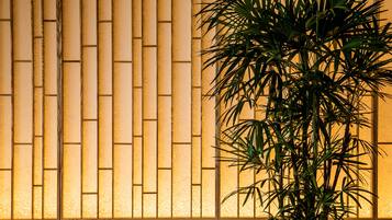A room with a wooden slat wall and a potted plant in the foreground.