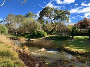 A serene garden with a small stream, lush greenery, and a building with a red roof in the background.