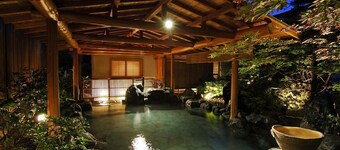 Kamimokuonsen Tatsumikan