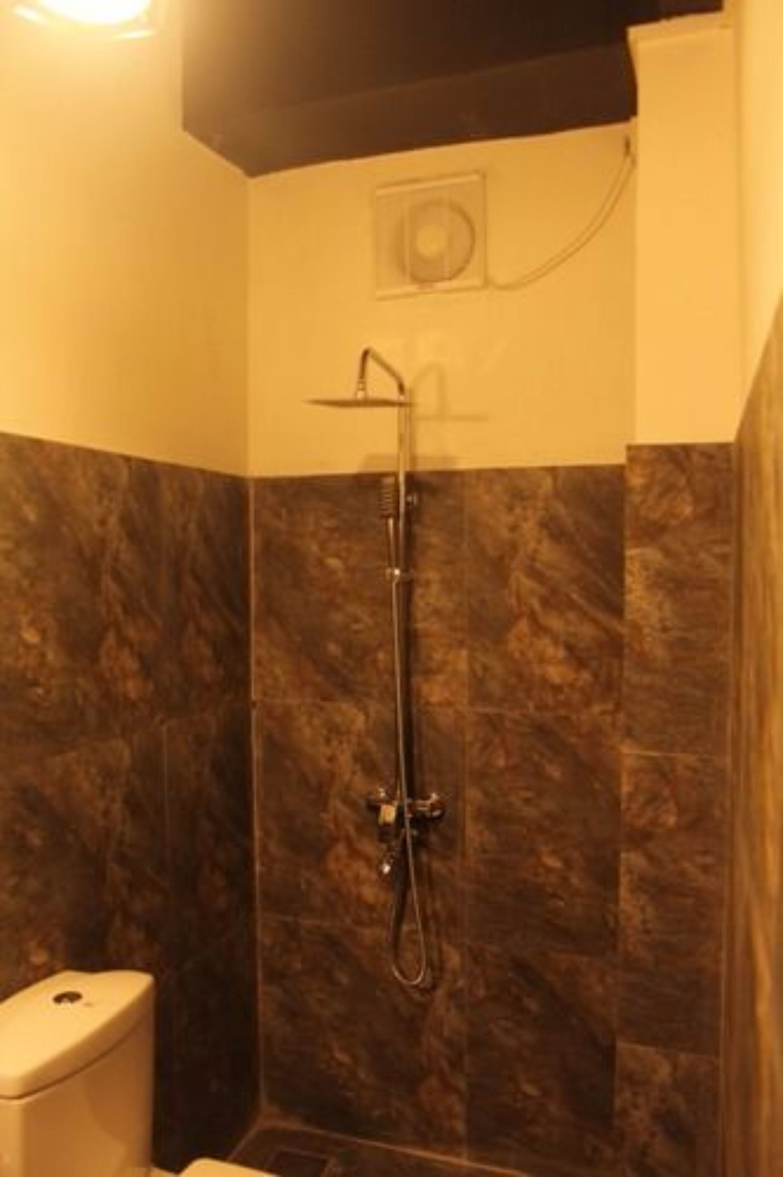 A bathroom with a shower, a toilet, and a marble wall.