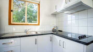 A modern kitchen with white cabinets, a granite countertop, a stainless steel sink, and a window with a view of trees.
