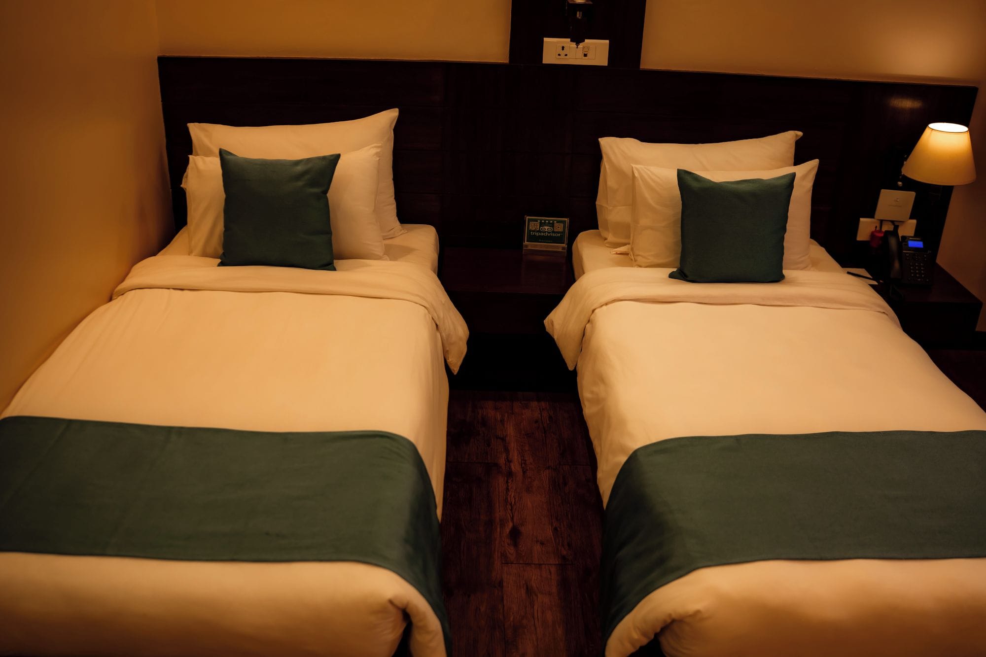 Two twin beds with green bedspreads and white pillows, a nightstand with a lamp, and a wall-mounted power outlet.