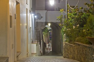 Un estrecho callejón con un arco de piedra, una planta en maceta y una antena parabólica en la pared.