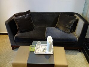 庭院套房 | 起居区 | 电视