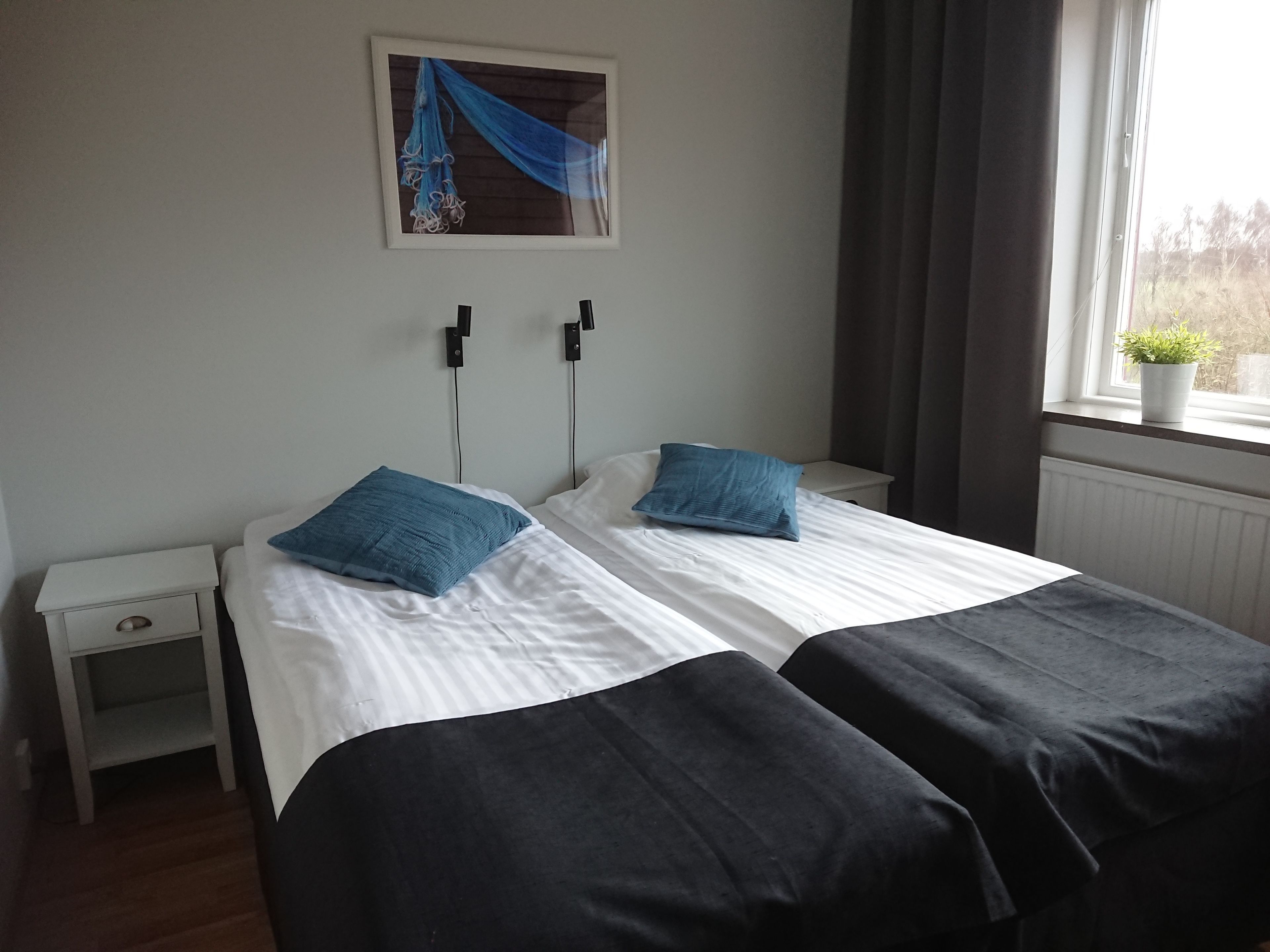 A double bed with two pillows, a bedside table, a small drawer, and a window with a plant.