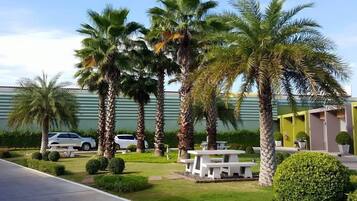 A well-maintained outdoor area with palm trees, a picnic table, and a building with a green facade.