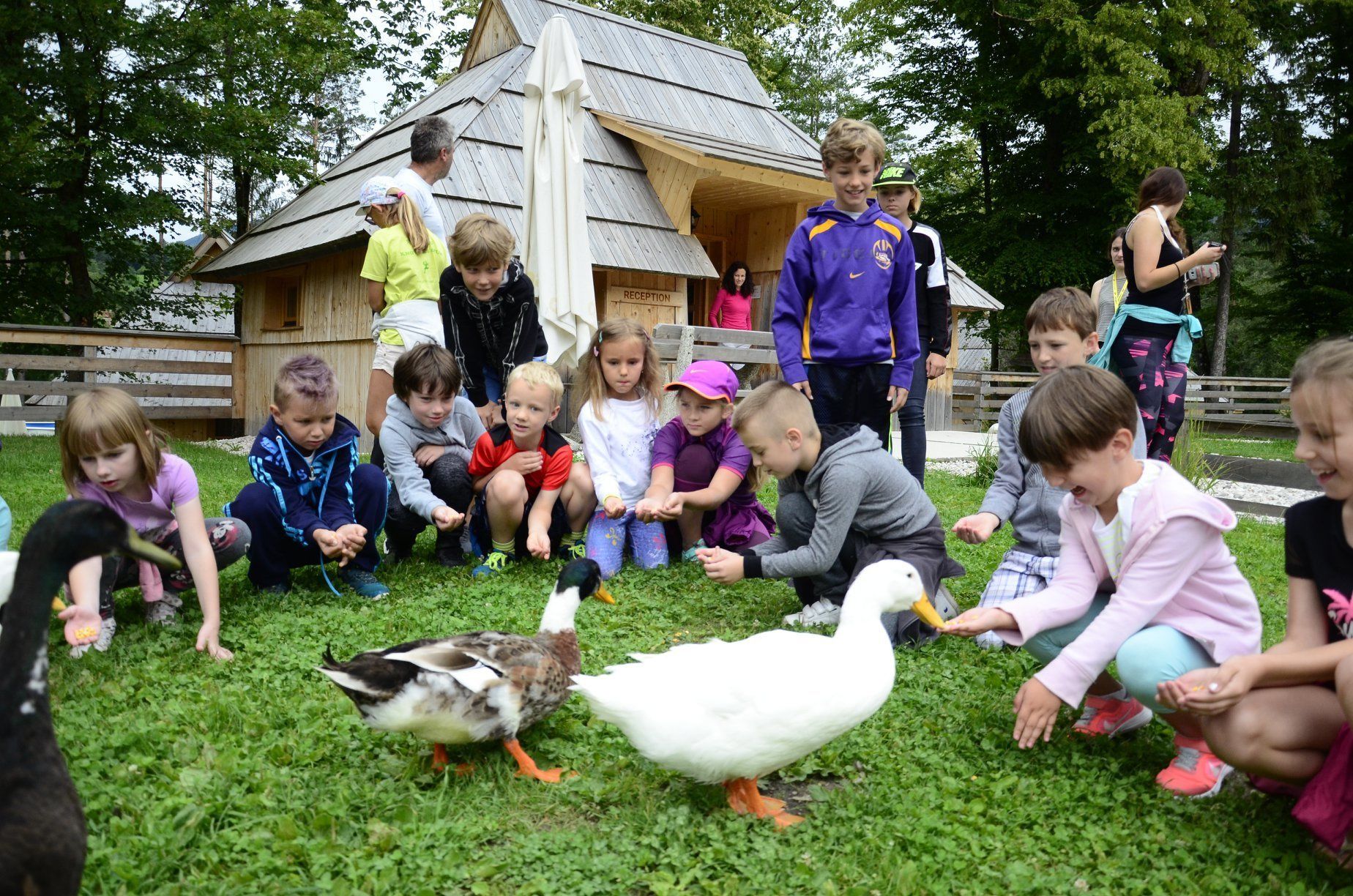 Eine Gruppe Kinder spielt mit Enten auf einer Wiese in der Nähe eines Holzesgebäudes mit der Aufschrift 'RECEPTION'.