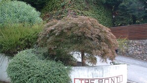 A sign with "TRE PONTI" written on it, surrounded by greenery and a stone wall. - Residence Tre Ponti (Verbania)