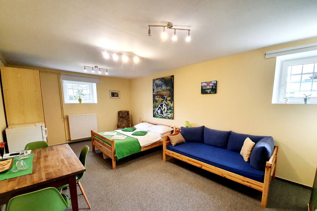 Une pièce comprenant une table en bois, deux chaises vertes, un canapé bleu, un lit recouvert d’une couverture verte et blanche, un radiateur, une fenêtre avec des stores et un luminaire au plafond.