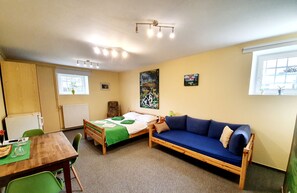 Standard Studio | Individually decorated, desk, soundproofing, free WiFi - Vila Teslova (Ljubljana)
