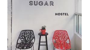 Interior de un hostal con una pared blanca, una lámpara colgante amarilla y dos sillas con una planta pequeña en un taburete.