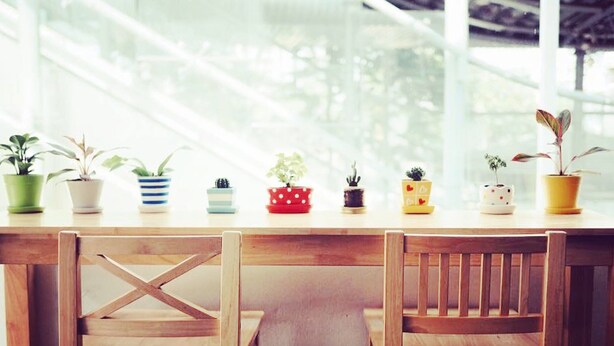 Una mesa de madera con plantas en macetas dispuestas sobre ella.