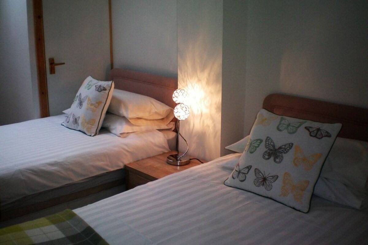 Two single beds with butterfly-patterned pillows, a bedside table with a lamp, and a wooden door in the background.
