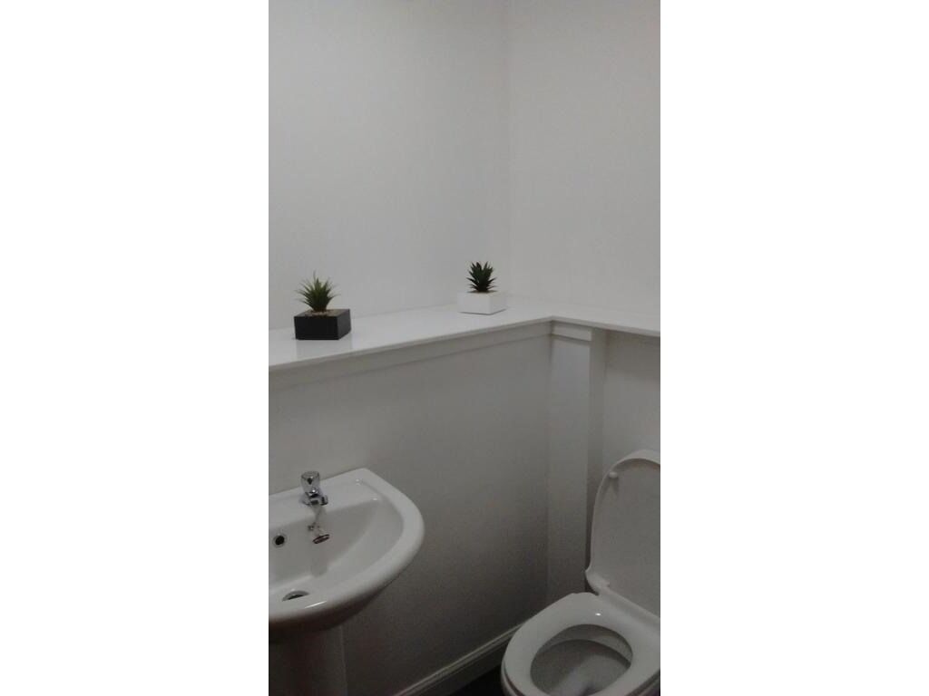A small, white bathroom with a sink, toilet, and two small potted plants on a shelf.