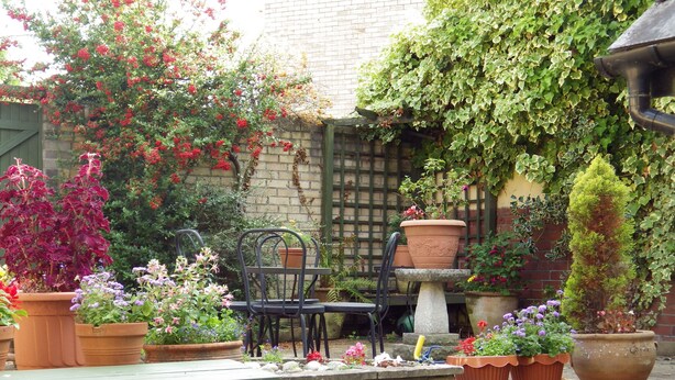 Terrace/patio - Ryvington B&B (Abergavenny)