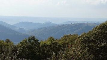 A mountainous landscape with dense forest in the foreground and rolling hills in the background.