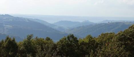 Un paysage montagneux, avec une forêt dense au premier plan et des collines ondulantes à l’arrière-plan.