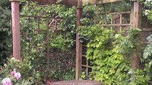 Un banc en pierre, flanqué de deux statues de lions de chaque côté, entouré d’une végétation luxuriante et surmonté d’une structure en bois formant une pergola.