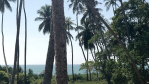 A table set with breakfast items, a view of the ocean, and palm trees. - Green Parrot Beach Resort (Rekawa)