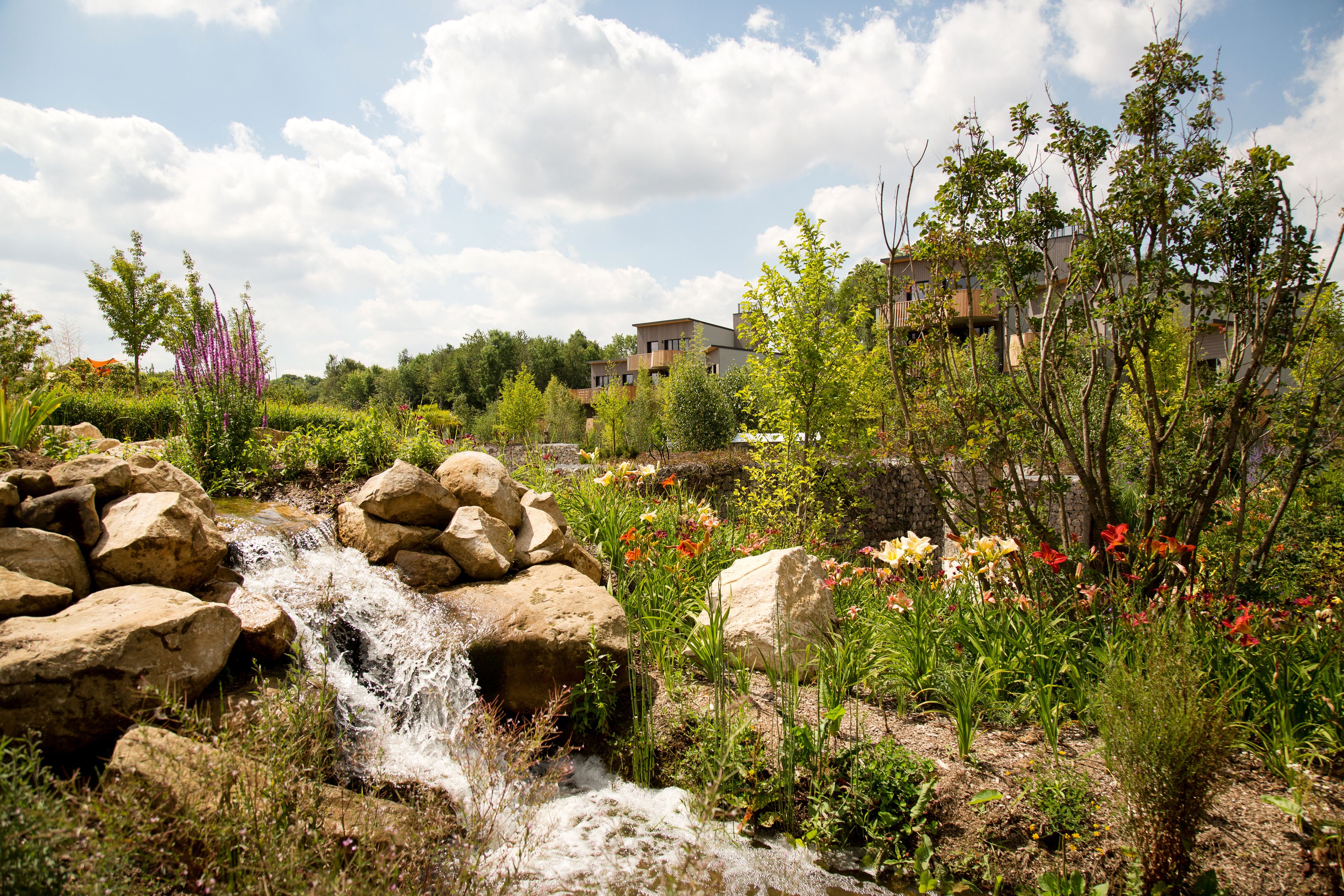 A garden with a small waterfall, surrounded by rocks and various plants.