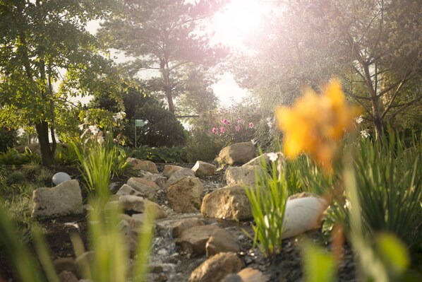 A garden with a stream, rocks, and greenery. - Center Parcs Villages Nature Paris (Villeneuve-le-Comte)
