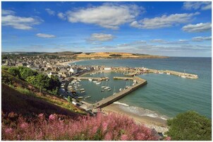A coastal town with a marina, buildings, and a hilly landscape.