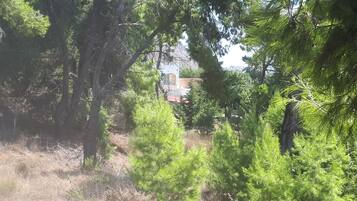 Weißer Sandstrand, Liegestühle, Sonnenschirme, Strandtücher