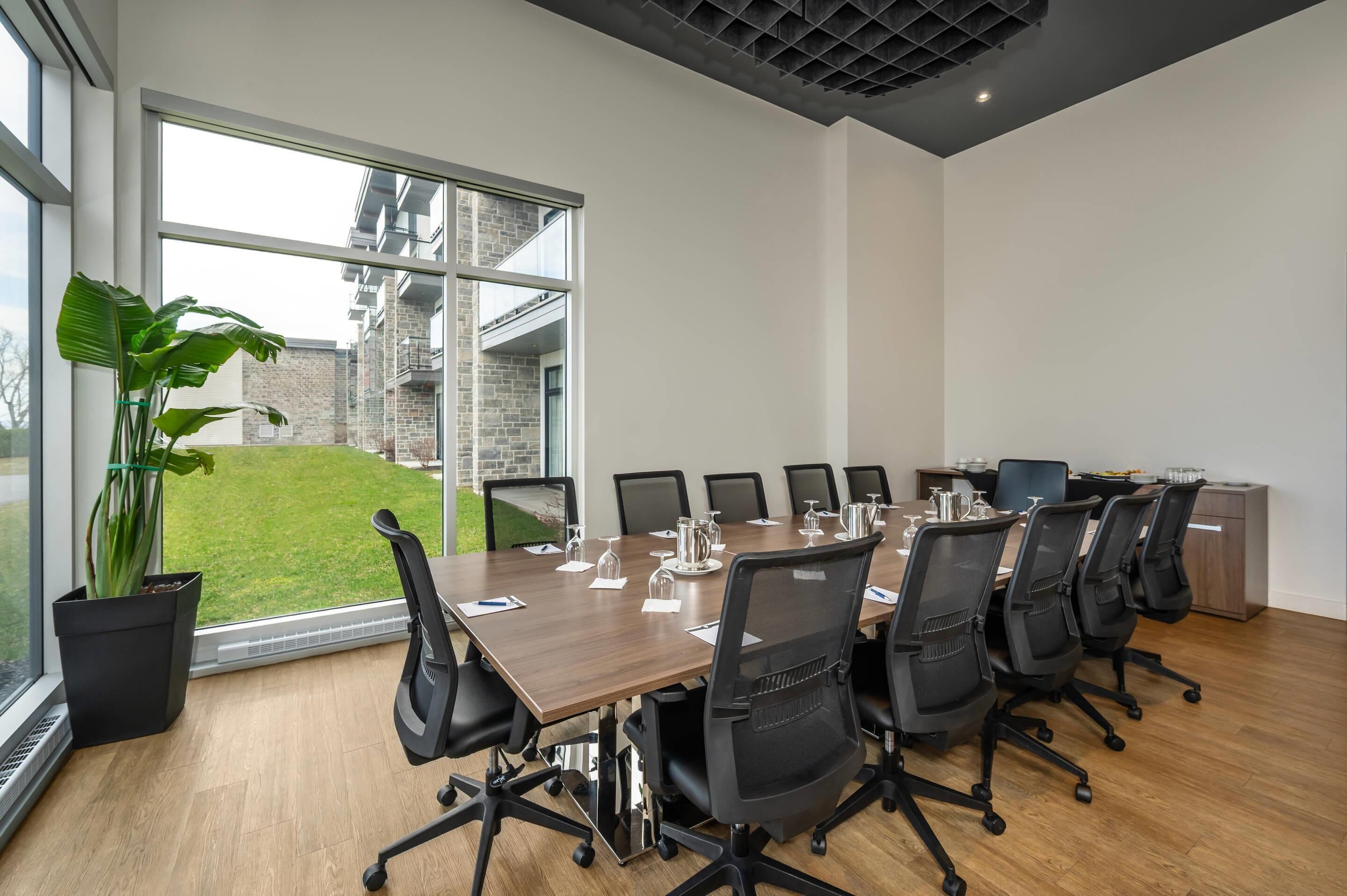 A conference room with a long table, black chairs, and a potted plant.