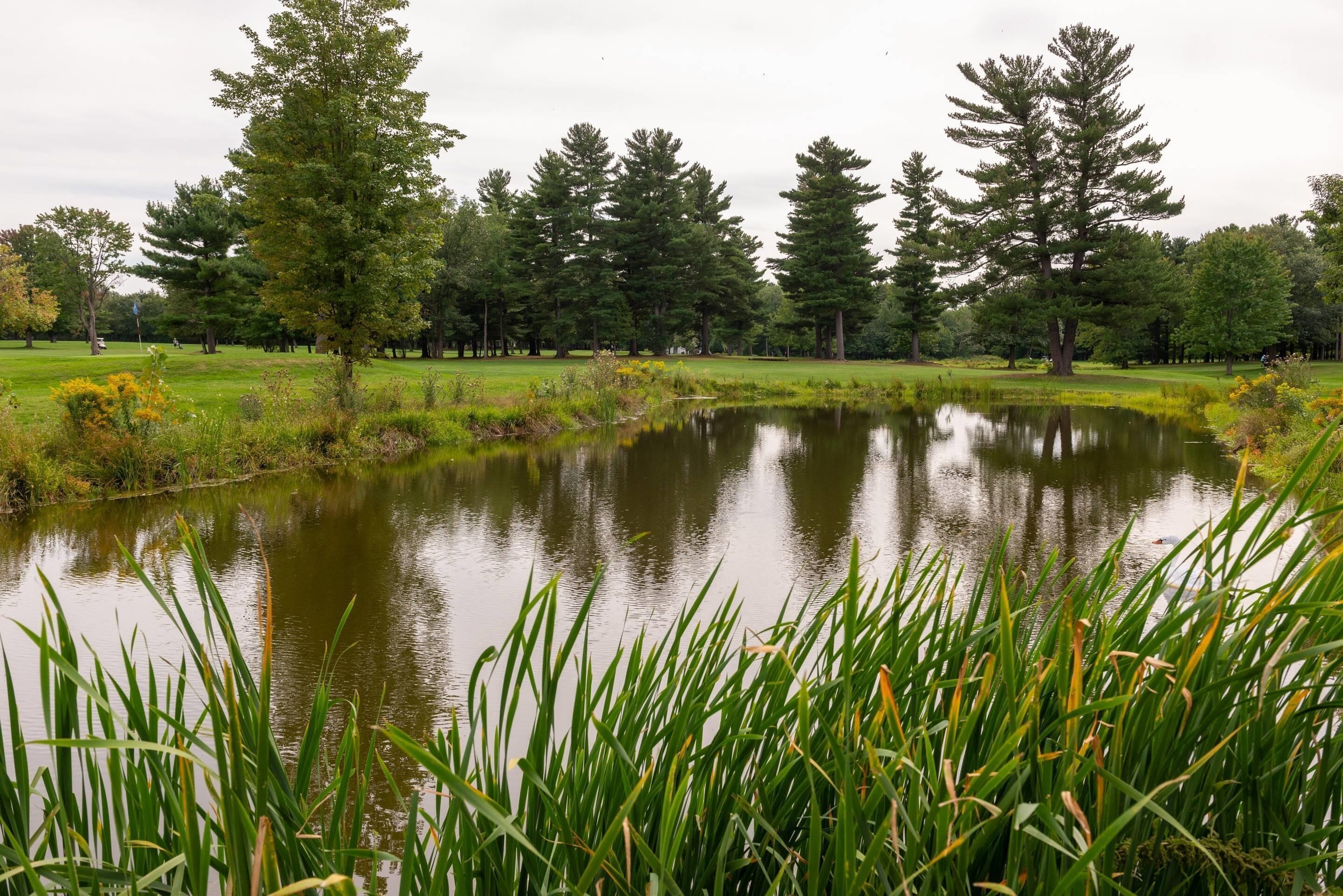 A serene pond surrounded by lush greenery and trees, with a golf course in the background.