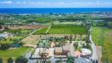 An aerial view of a coastal property with vineyards, a swimming pool, and a large building with a red roof.