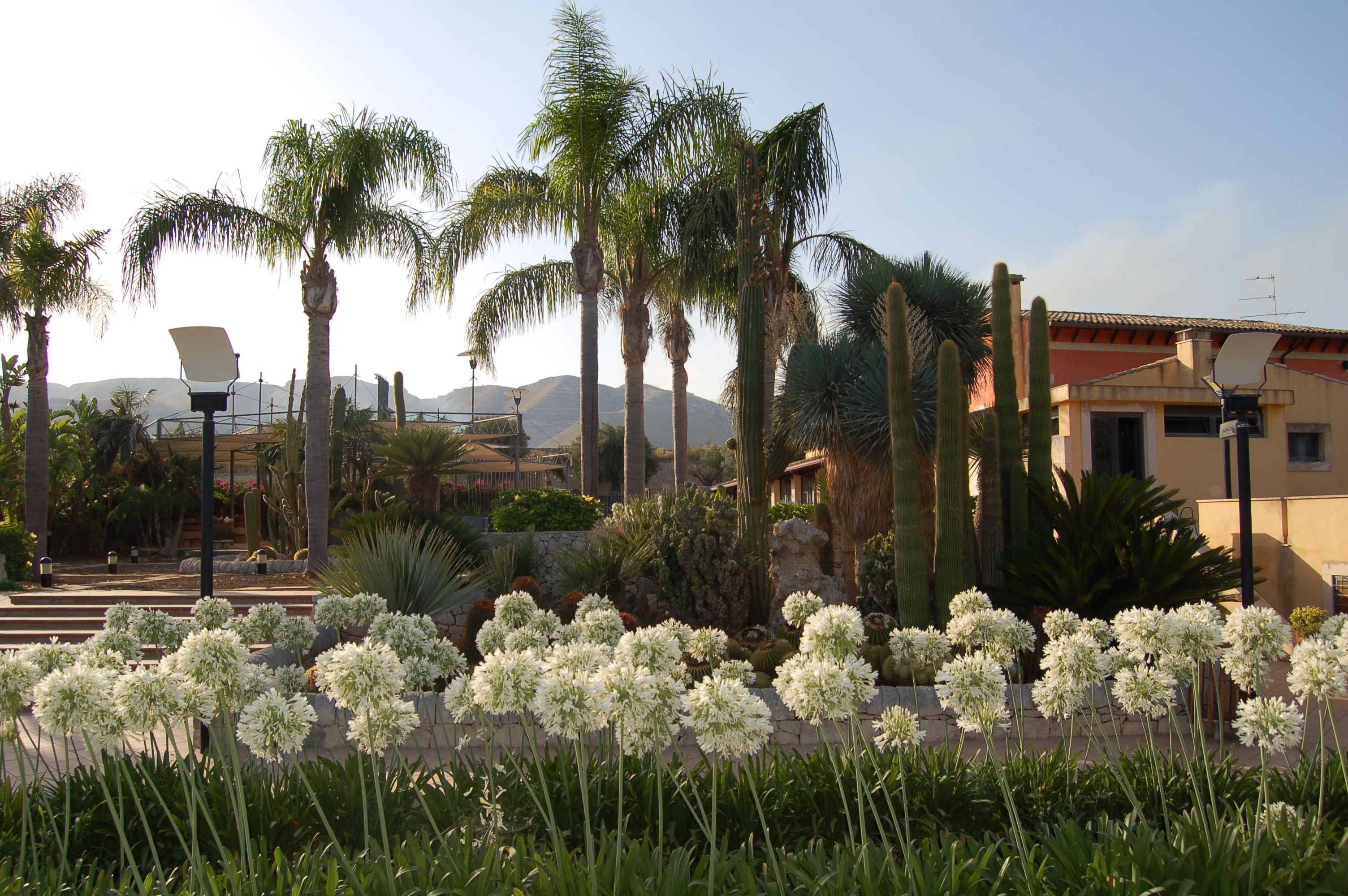A garden with palm trees, a white chair, and a building with a red roof.