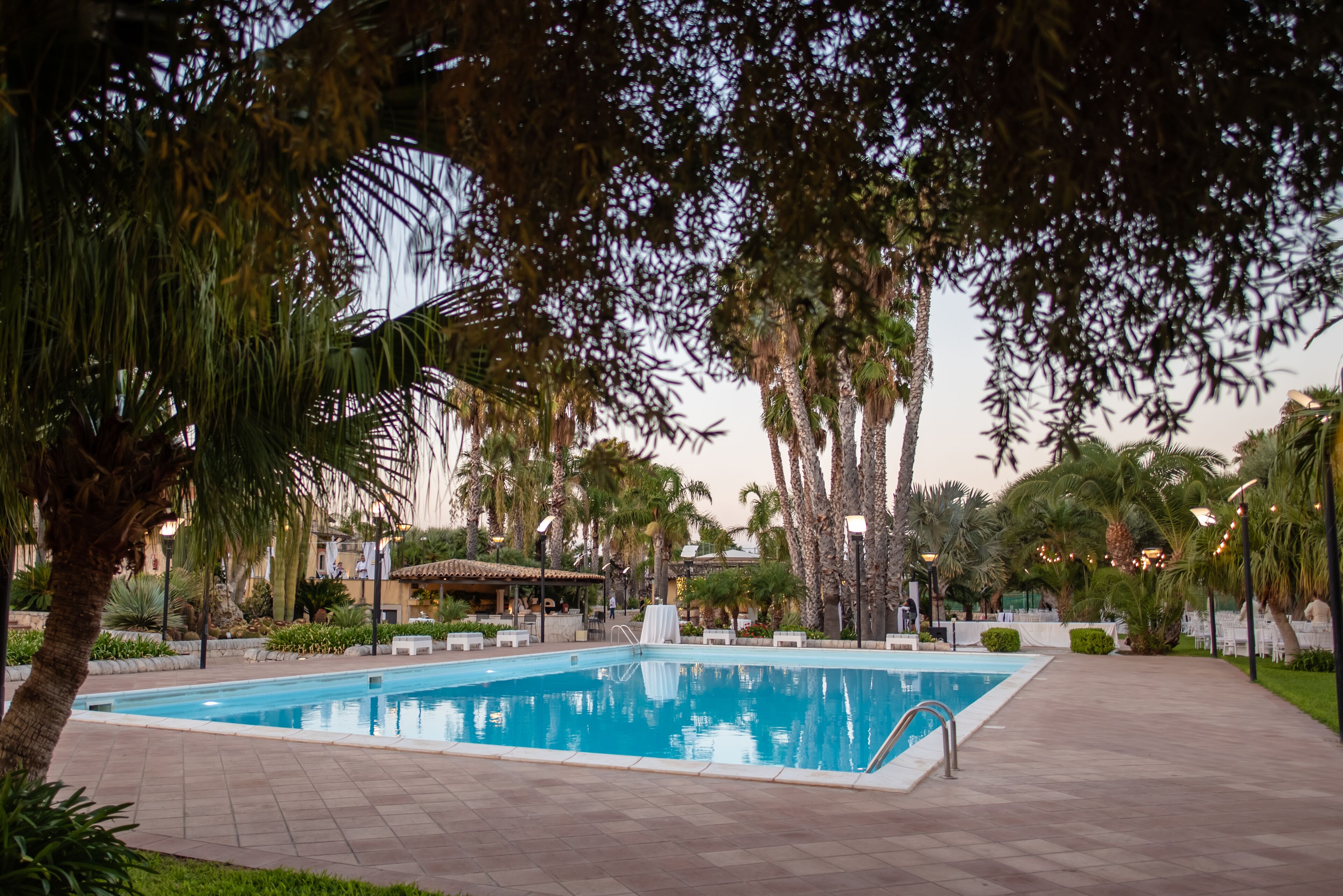 A swimming pool with a tiled deck, surrounded by palm trees and greenery.