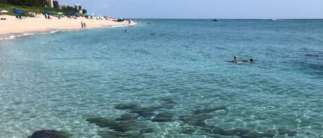 Studio (Southwind 4) | Plage | Plage, serviettes de plage