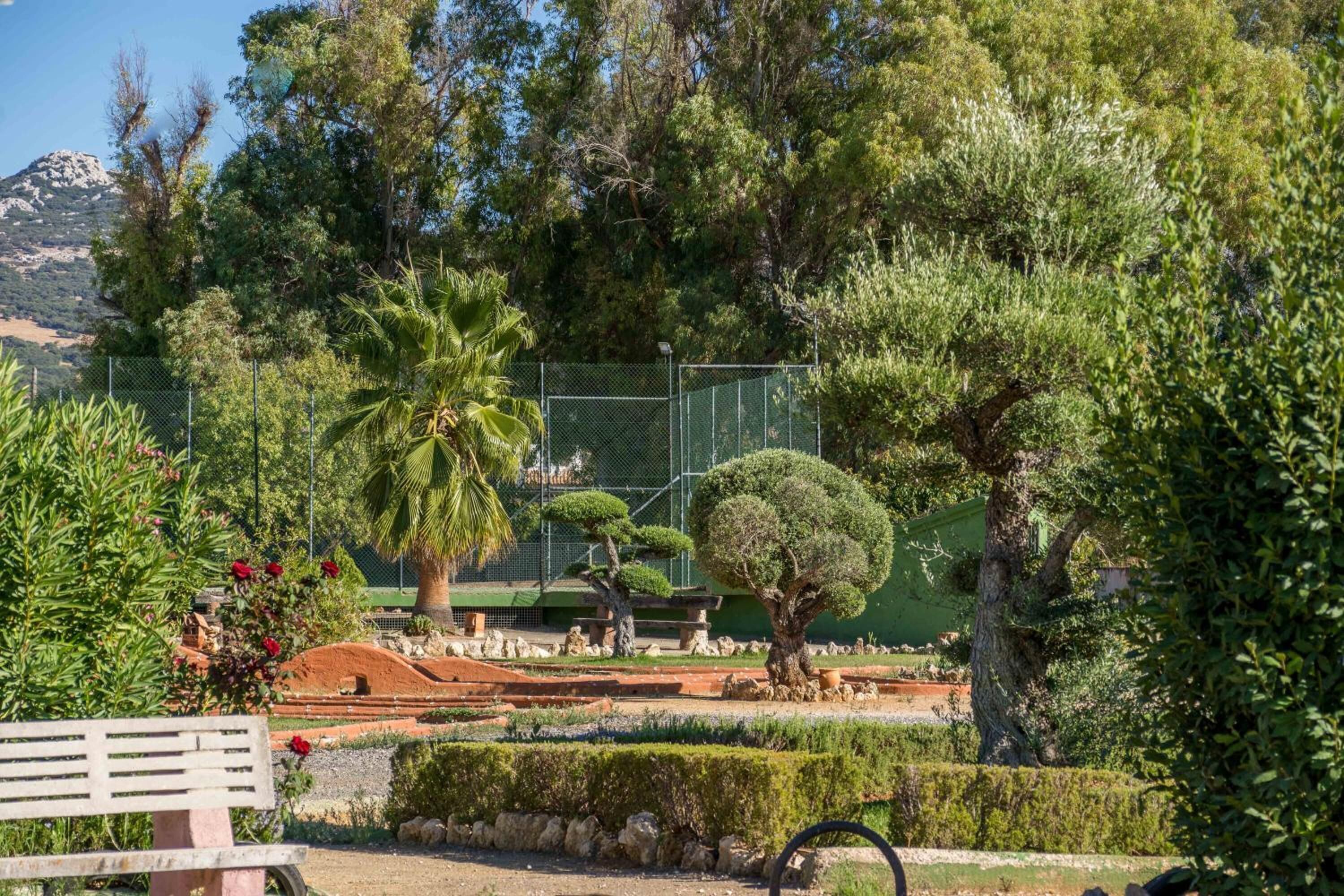 A landscaped garden with various trees, a bench, and a fenced area.