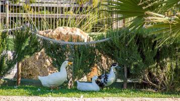 Jardines del alojamiento